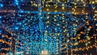 Thumbnail of post image 103